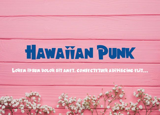 Hawaiian Punk example