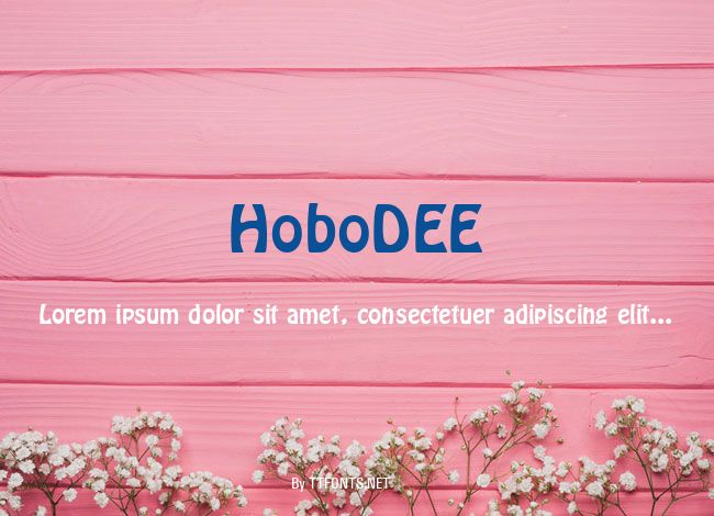 HoboDEE example