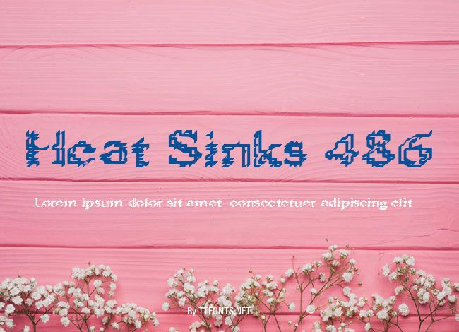 Heat Sinks 486 example