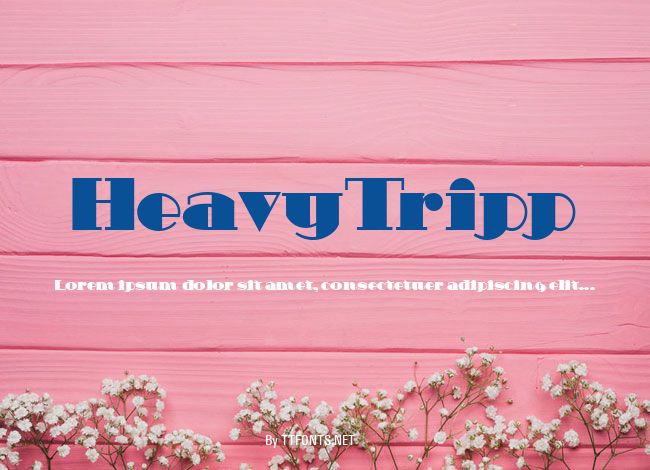 HeavyTripp example