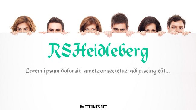 RSHeidleberg example