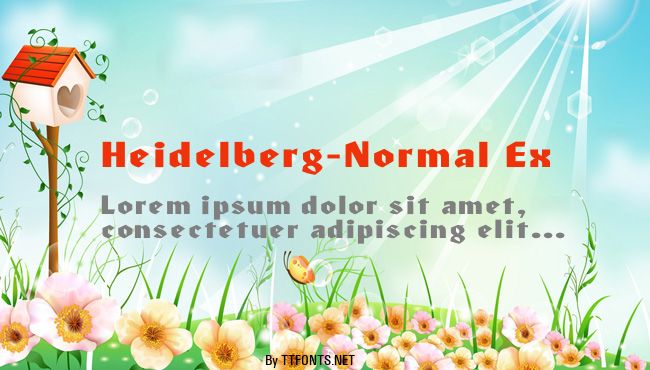 Heidelberg-Normal Ex example