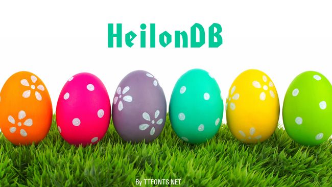 HeilonDB example