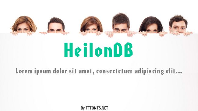 HeilonDB example