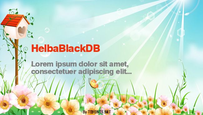 HelbaBlackDB example