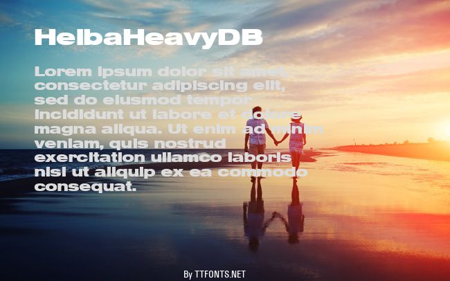HelbaHeavyDB example