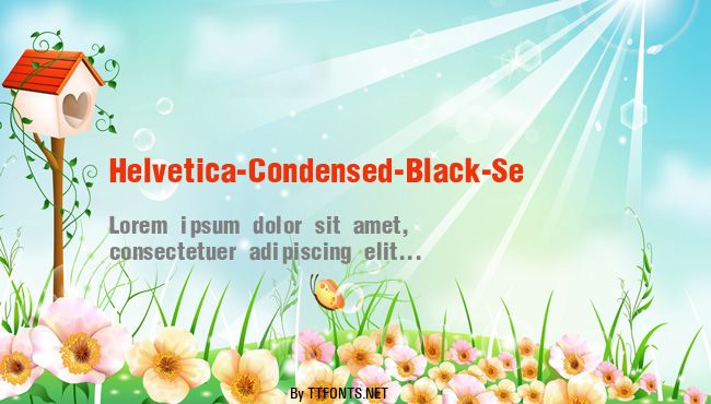 Helvetica-Condensed-Black-Se example