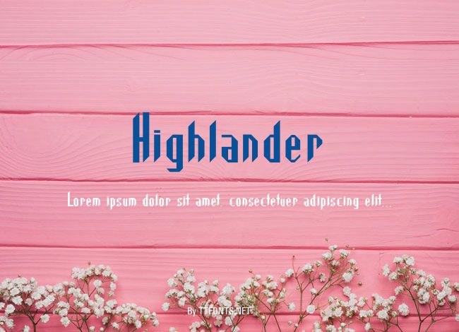 Highlander example