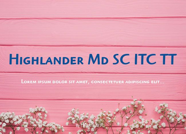 Highlander Md SC ITC TT example