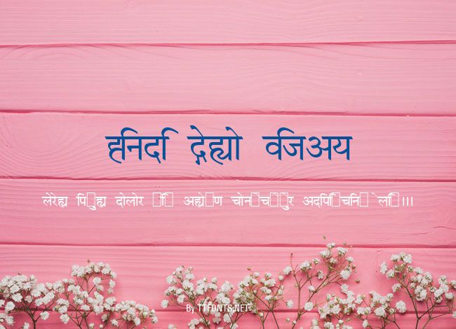 Hindi Demo Vijay example