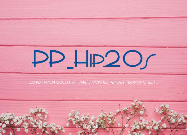 PP_Hip20s example