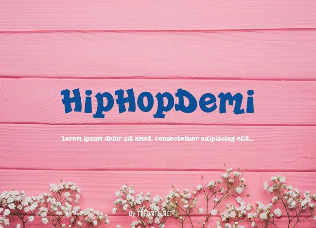 HipHopDemi example