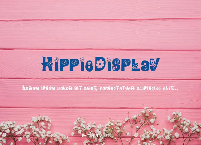 HippieDisplay example