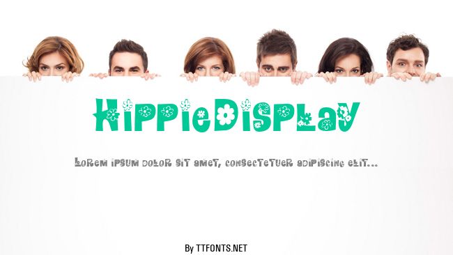 HippieDisplay example