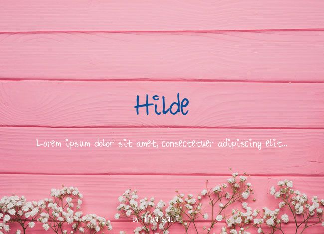 Hilde example