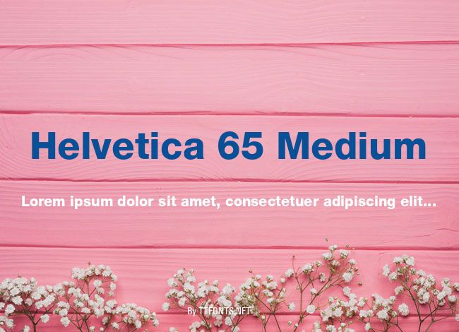 Helvetica 65 Medium example