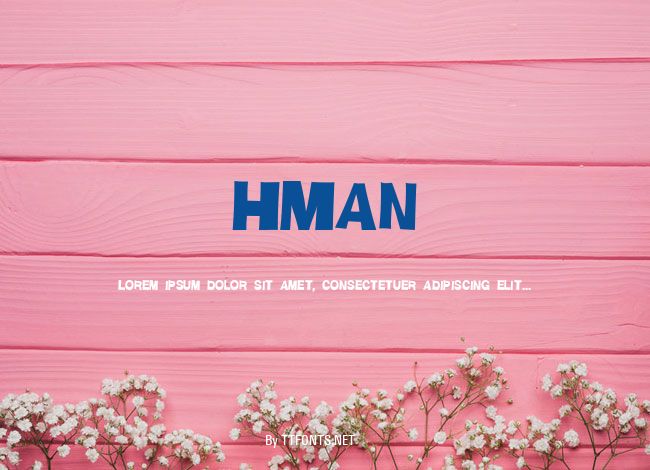 HMan example