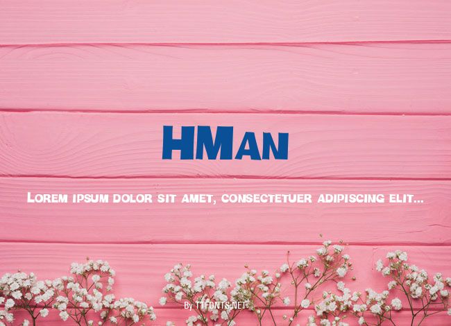 HMan example