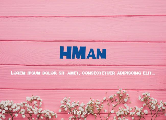 HMan example