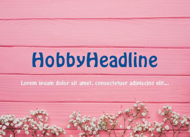 HobbyHeadline example