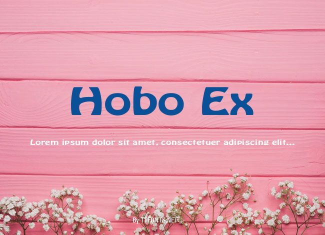 Hobo Ex example