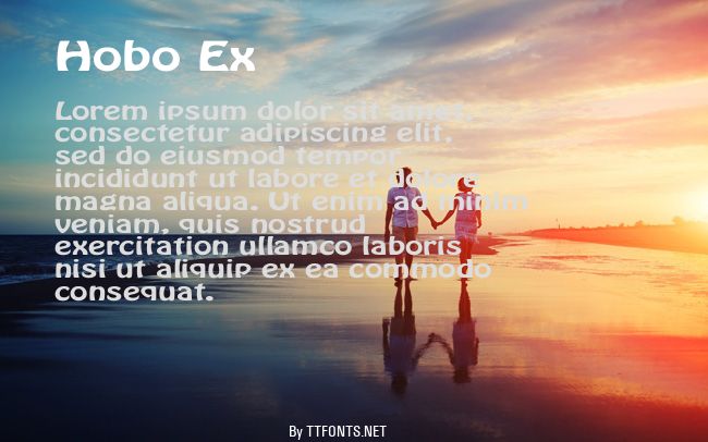Hobo Ex example