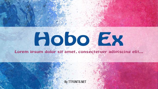 Hobo Ex example