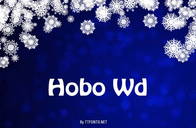 Hobo Wd example