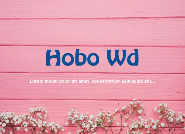 Hobo Wd example