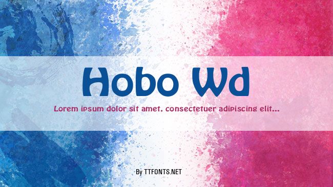 Hobo Wd example