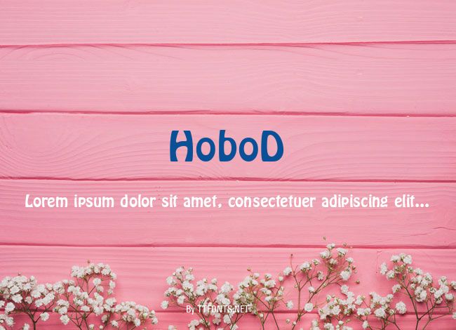 HoboD example