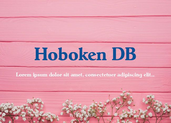 Hoboken DB example