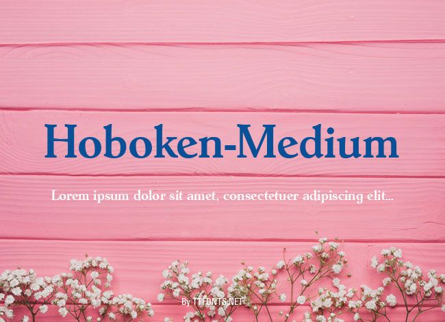 Hoboken-Medium example