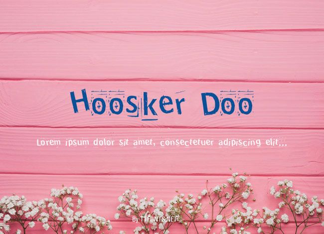 Hoosker Doo example