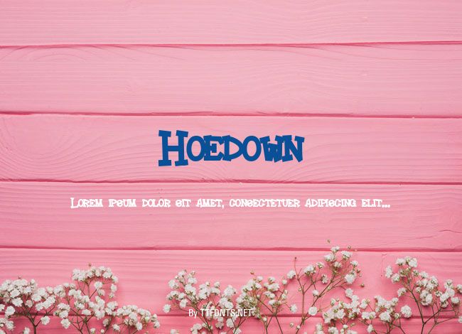 Hoedown example