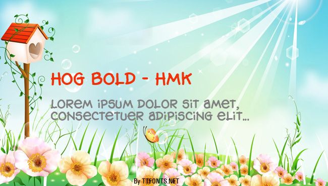 Hog Bold - HMK example