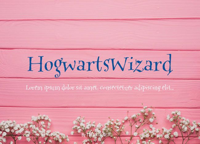 HogwartsWizard example