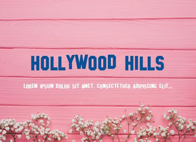 Hollywood Hills example