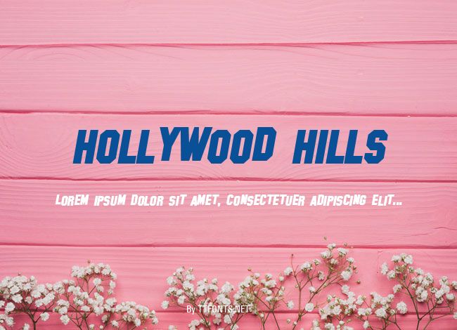 Hollywood Hills example