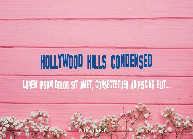 Hollywood Hills Condensed example