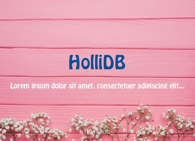 HolliDB example
