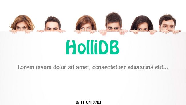 HolliDB example