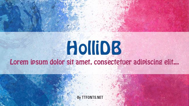 HolliDB example