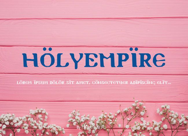 HolyEmpire example