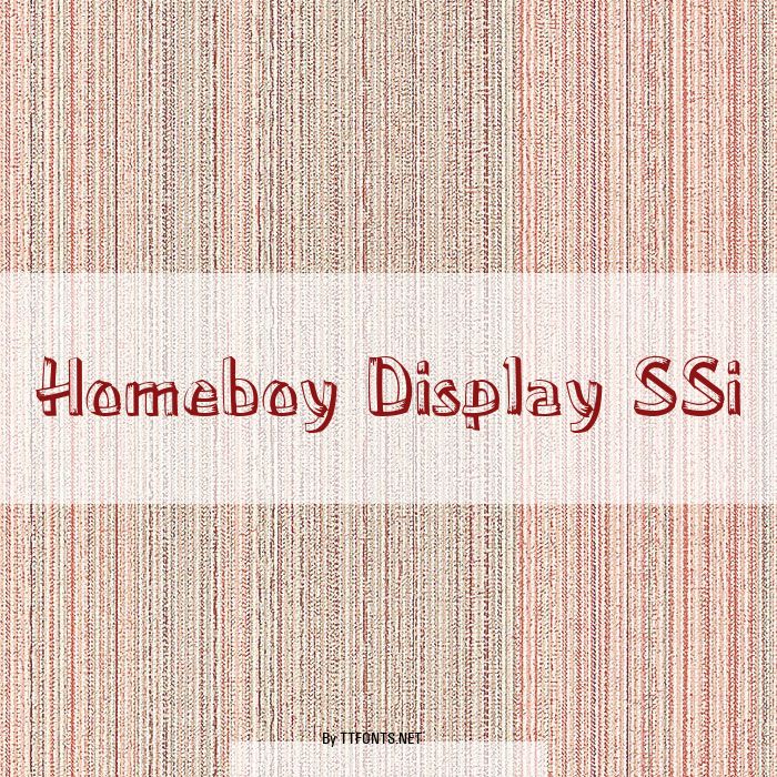 Homeboy Display SSi example