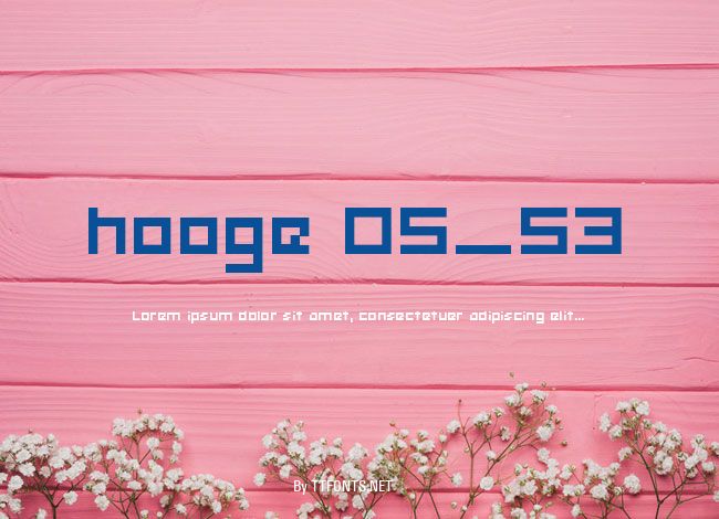 hooge 05_53 example