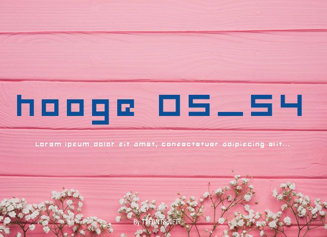 hooge 05_54 example