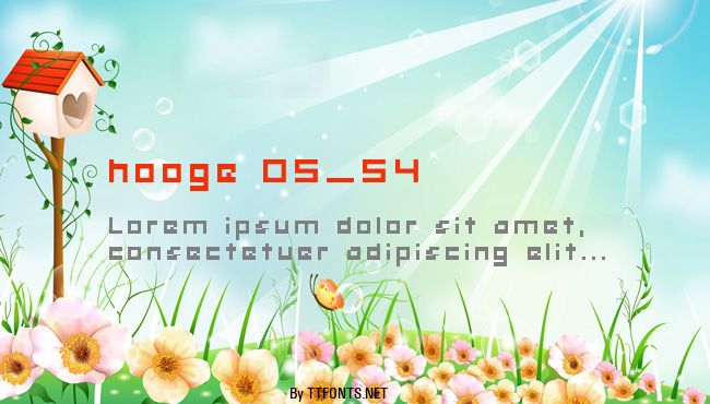 hooge 05_54 example