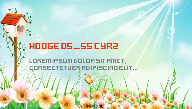 hooge 05_55 Cyr2 example