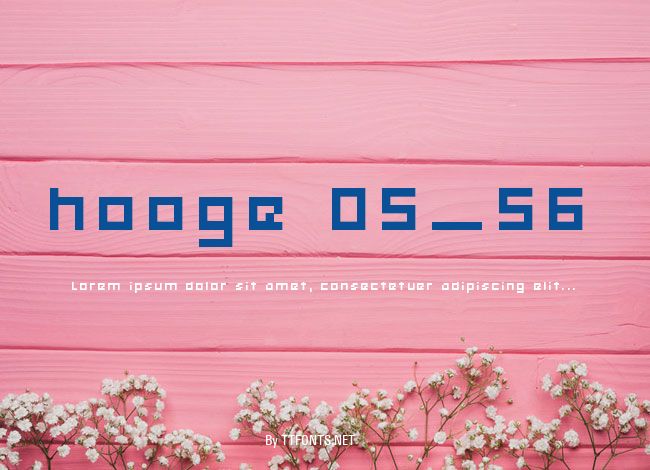 hooge 05_56 example